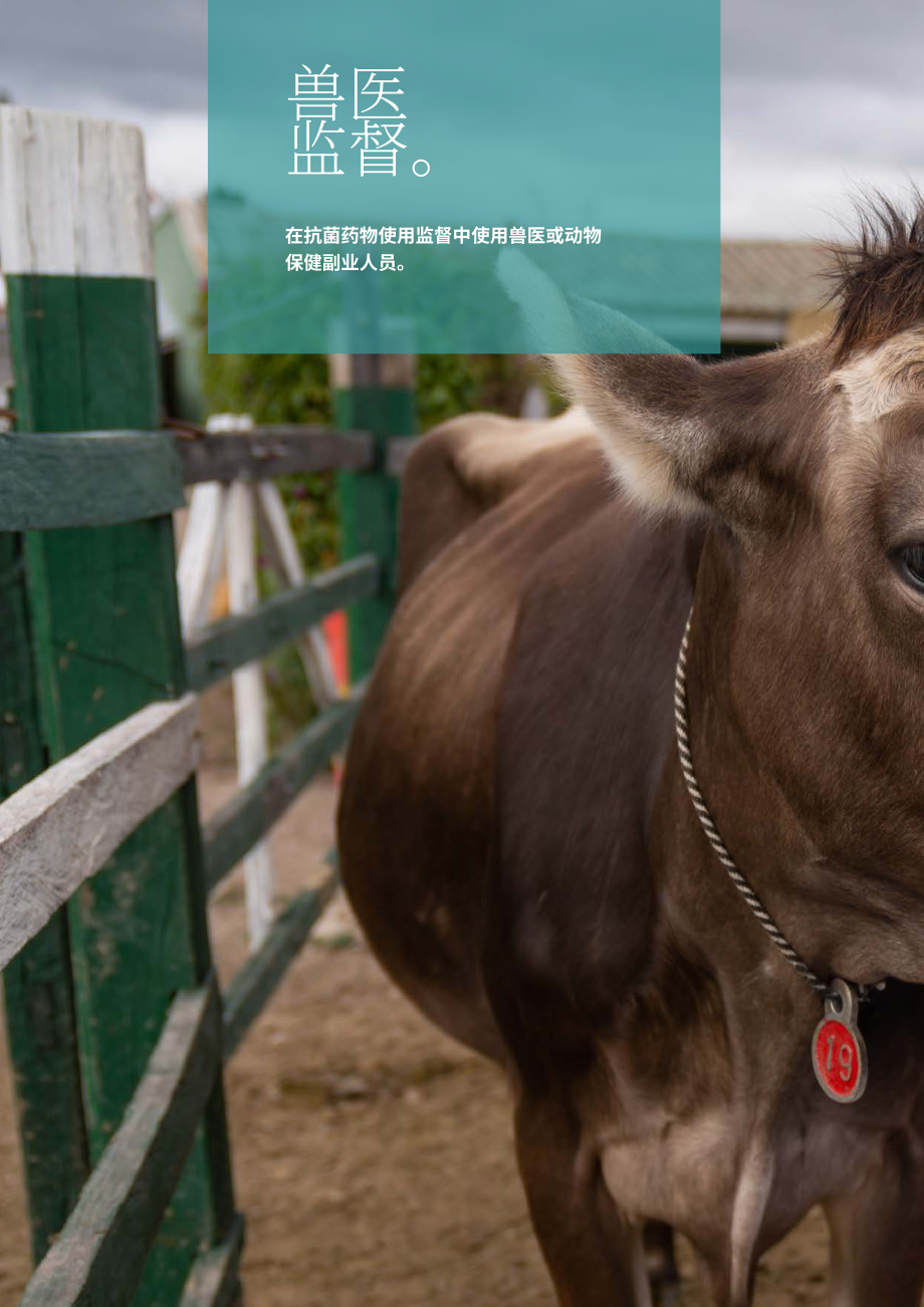 国际乳品联合会：2024动物健康报告：全球乳制品行业抗菌药物审慎使用案例研究（英文版）（62页）.pdf_第4页