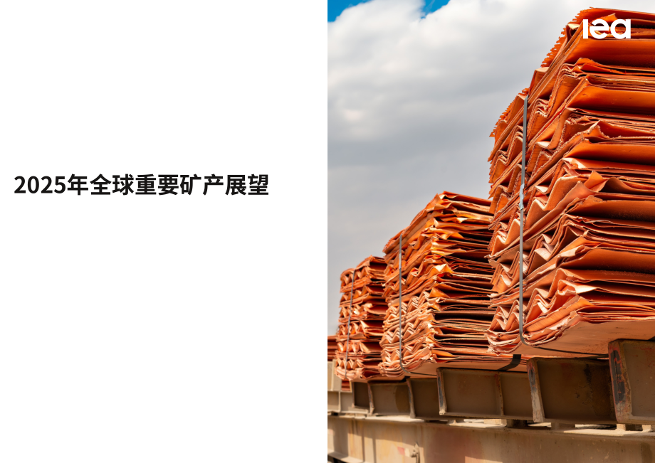国际能源署（IEA）：2025年全球关键矿产展望报告（英文版）（312页）.pdf_第1页