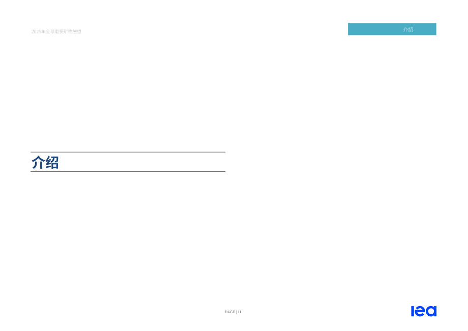 国际能源署（IEA）：2025年全球关键矿产展望报告（英文版）（312页）.pdf_第11页