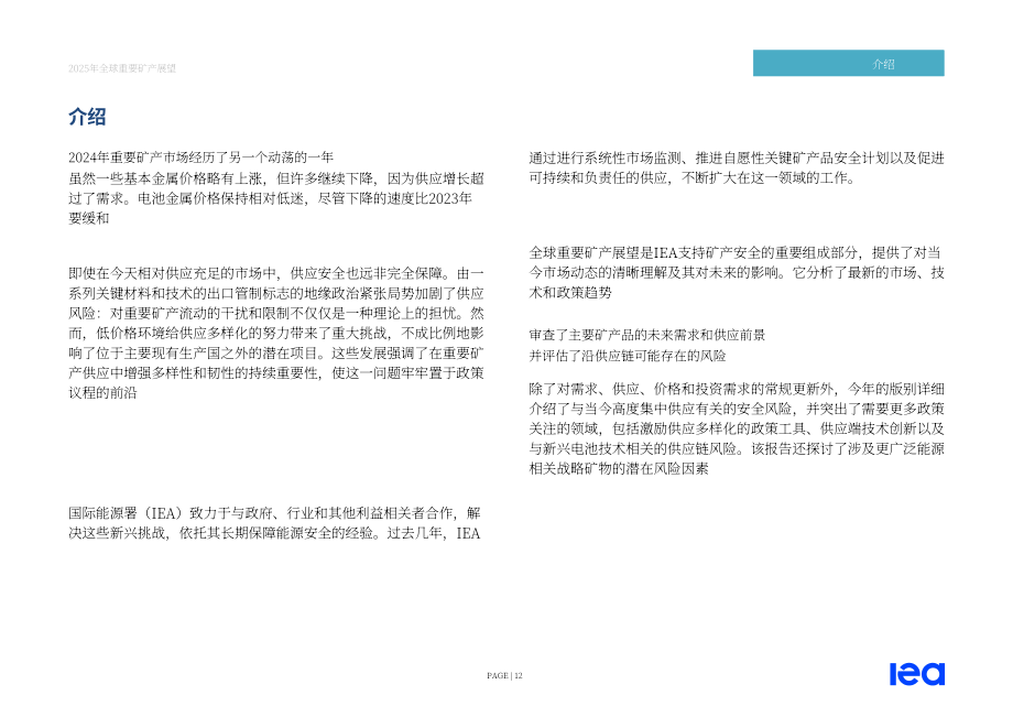 国际能源署（IEA）：2025年全球关键矿产展望报告（英文版）（312页）.pdf_第12页