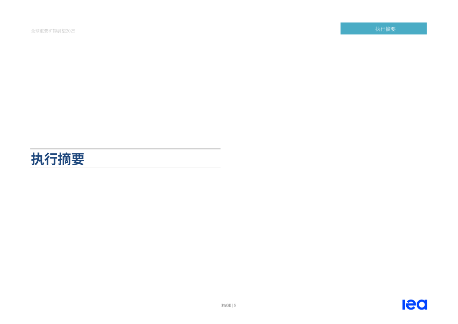 国际能源署（IEA）：2025年全球关键矿产展望报告（英文版）（312页）.pdf_第5页