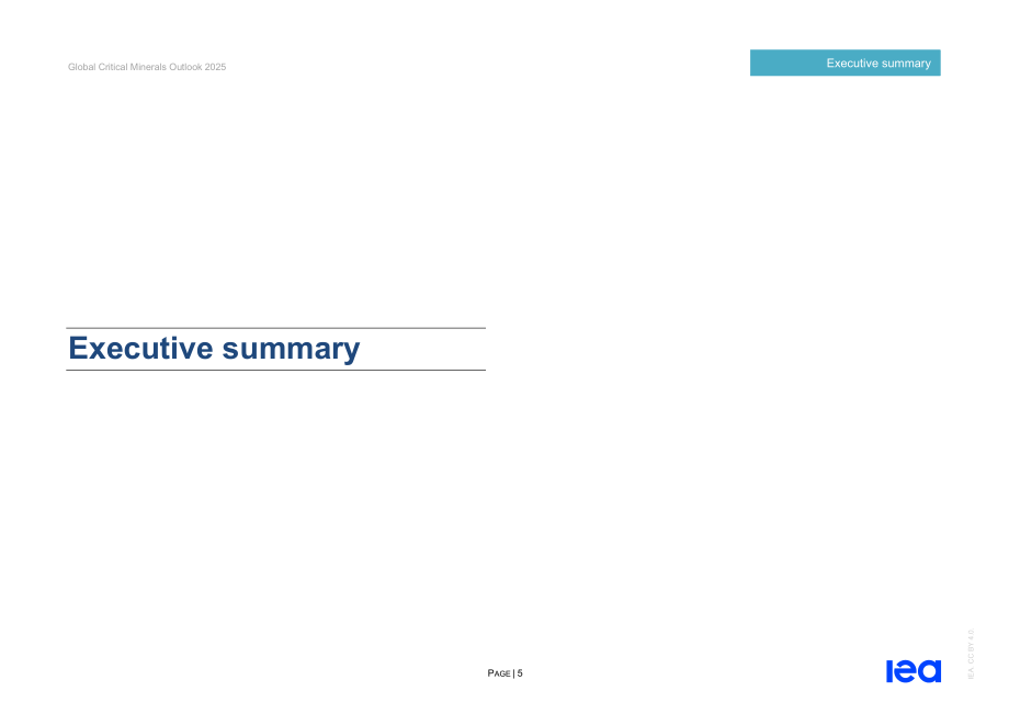 国际能源署（IEA）：2025年全球关键矿产展望报告（英文版）（312页）.pdf_第5页