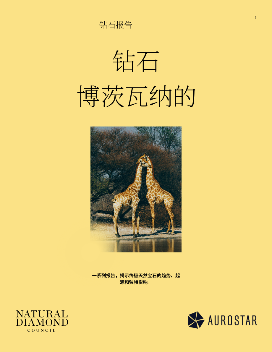 天然钻石协会&AuroStar：2024博茨瓦纳钻石行业报告（英文版）（24页）.pdf_第1页