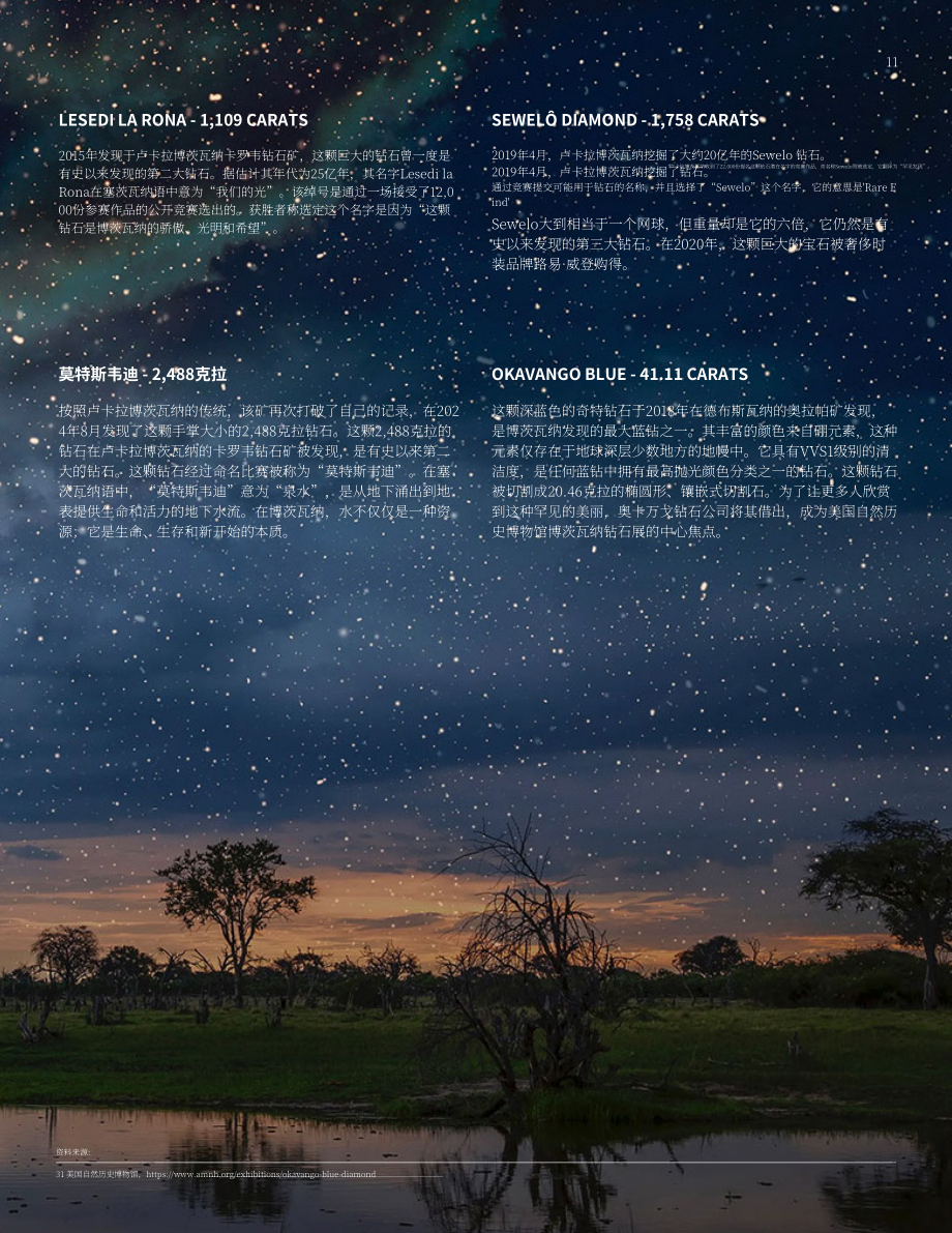 天然钻石协会&AuroStar：2024博茨瓦纳钻石行业报告（英文版）（24页）.pdf_第11页