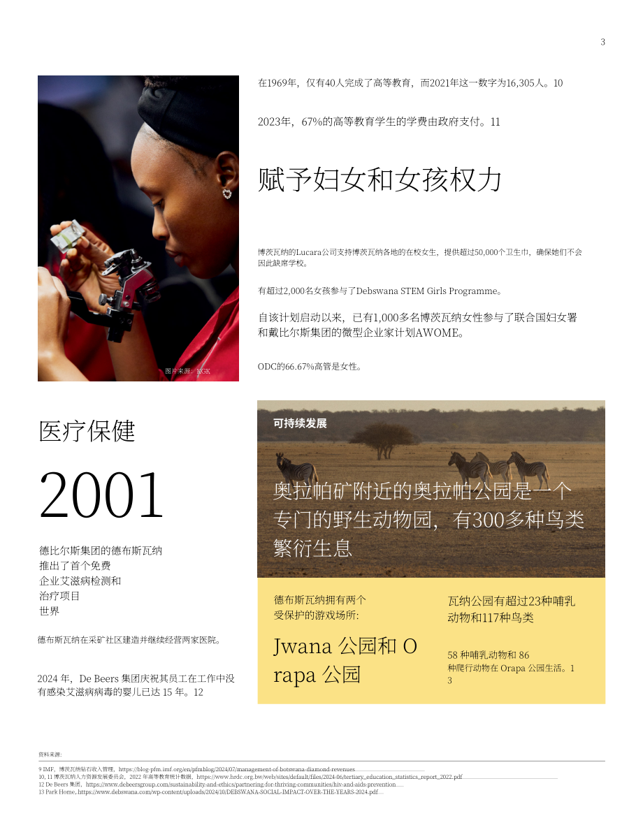 天然钻石协会&AuroStar：2024博茨瓦纳钻石行业报告（英文版）（24页）.pdf_第3页