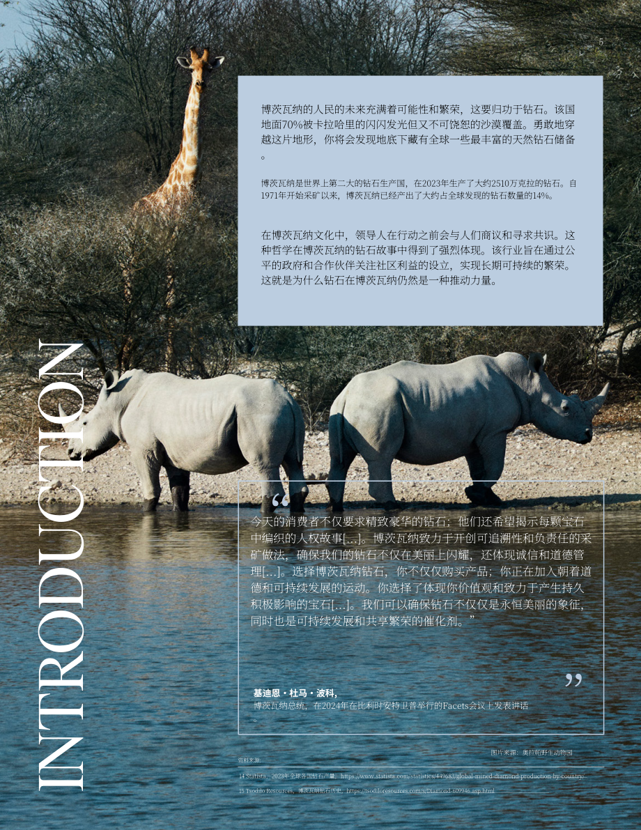 天然钻石协会&AuroStar：2024博茨瓦纳钻石行业报告（英文版）（24页）.pdf_第5页