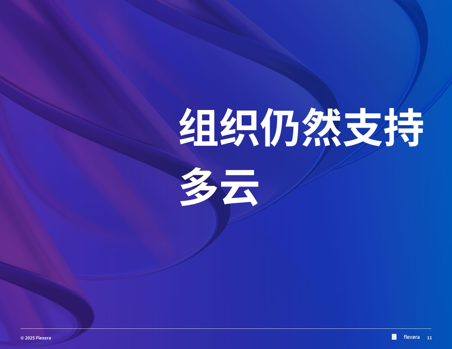 Flexera：2025年全球云计算现状报告（英文版）（89页）.pdf_第11页