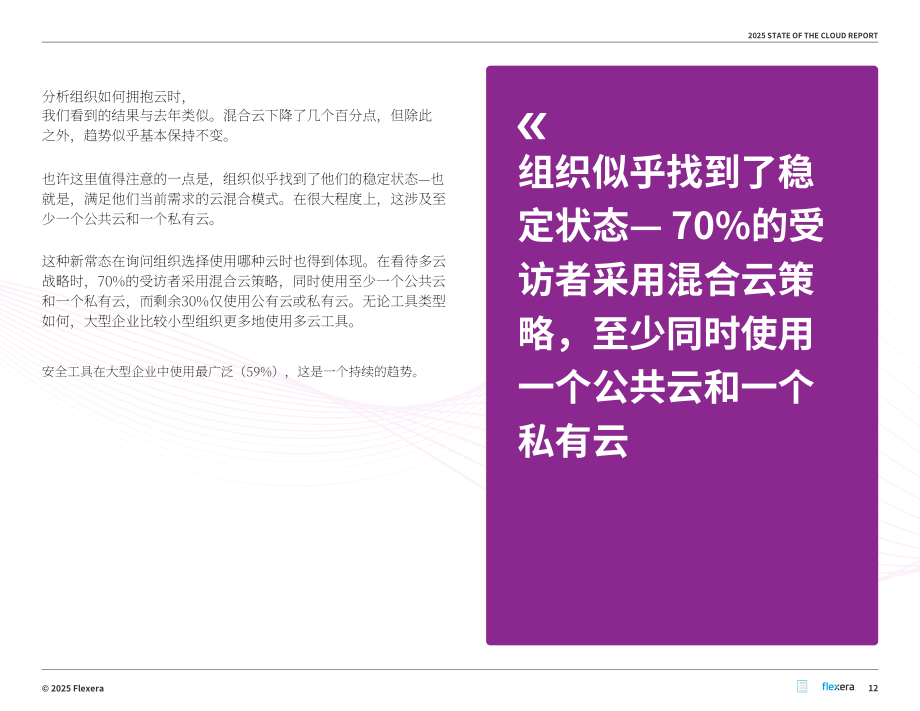 Flexera：2025年全球云计算现状报告（英文版）（89页）.pdf_第12页