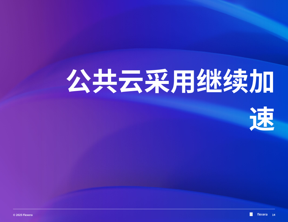 Flexera：2025年全球云计算现状报告（英文版）（89页）.pdf_第14页