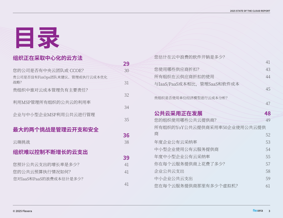 Flexera：2025年全球云计算现状报告（英文版）（89页）.pdf_第3页