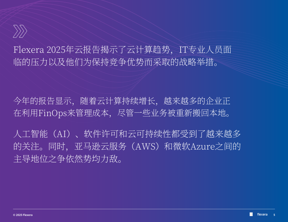 Flexera：2025年全球云计算现状报告（英文版）（89页）.pdf_第5页
