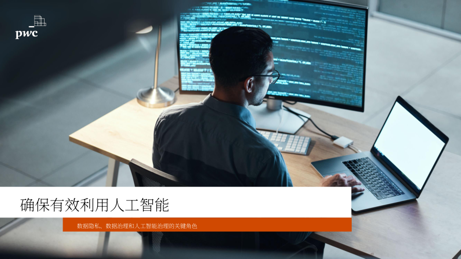 普华永道：2025企业AI技术应用中的数据隐私保护、数据治理与AI治理研究报告（英文版）（15页）.pdf_第1页