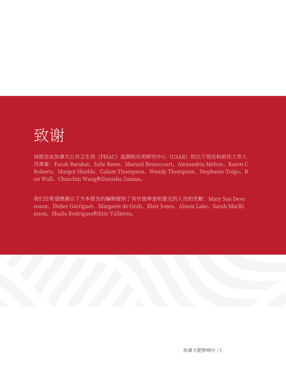 加拿大公共卫生署：2024加拿大肥胖数据统计报告（英文版）（120页）.pdf_第3页