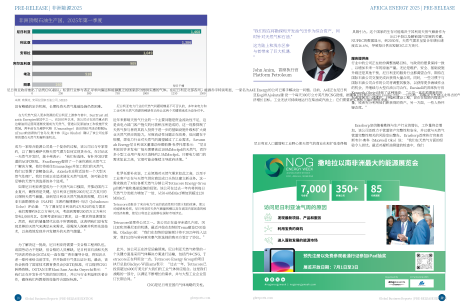 全球商业报告（GBR）：2025年非洲能源行业报告（预发版）（英文版）（15页）.pdf_第10页