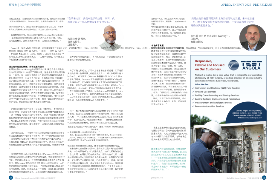 全球商业报告（GBR）：2025年非洲能源行业报告（预发版）（英文版）（15页）.pdf_第13页