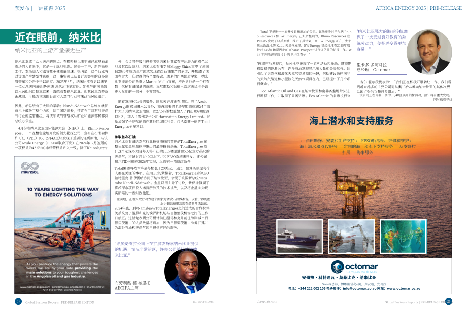 全球商业报告（GBR）：2025年非洲能源行业报告（预发版）（英文版）（15页）.pdf_第14页