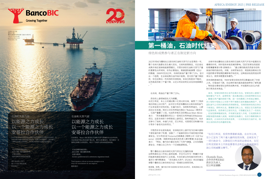 全球商业报告（GBR）：2025年非洲能源行业报告（预发版）（英文版）（15页）.pdf_第2页