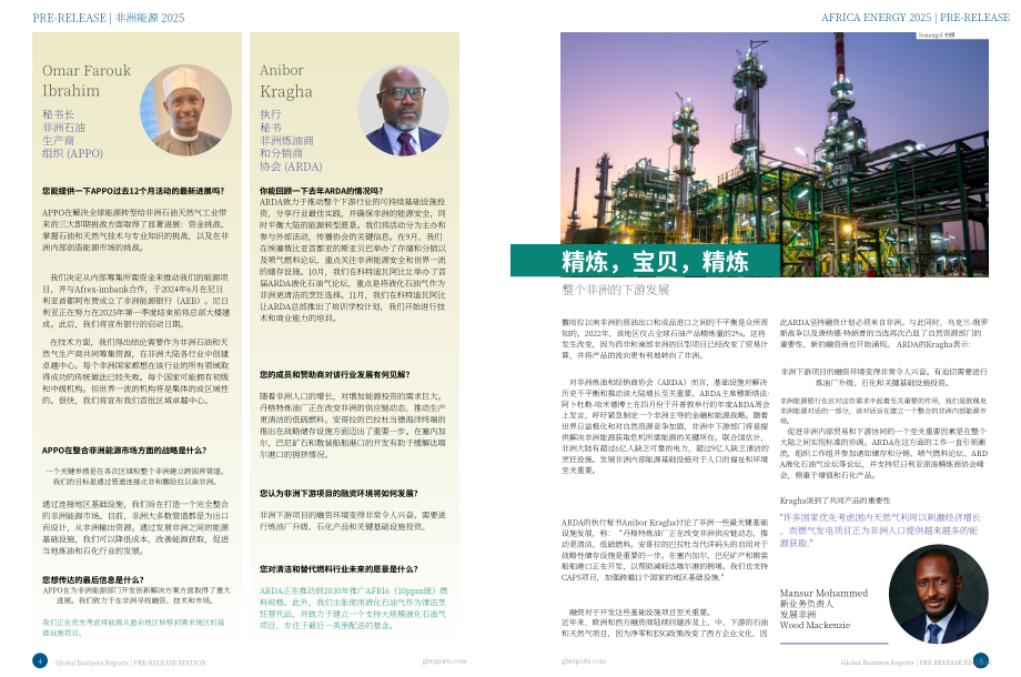 全球商业报告（GBR）：2025年非洲能源行业报告（预发版）（英文版）（15页）.pdf_第3页