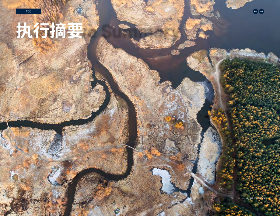 世界银行（WBG）：2025规模化水回用：市政与工业应用临界点研究报告（英文版）（144页）.pdf_第12页