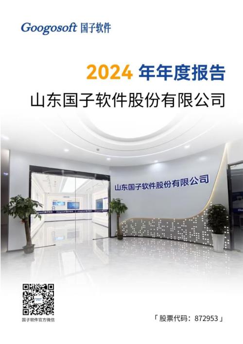 定期报告-国子软件：2024年年度报告.pdf