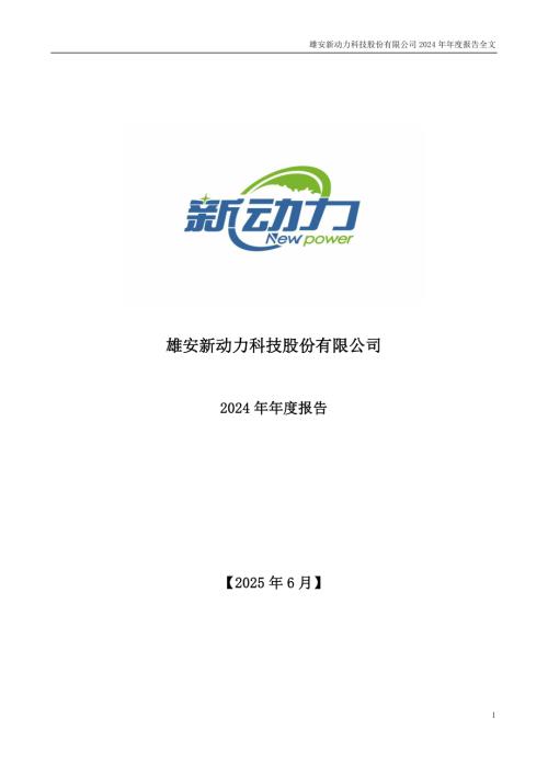 ST新动力：雄安新动力科技股份有限公司2024年年度报告.PDF
