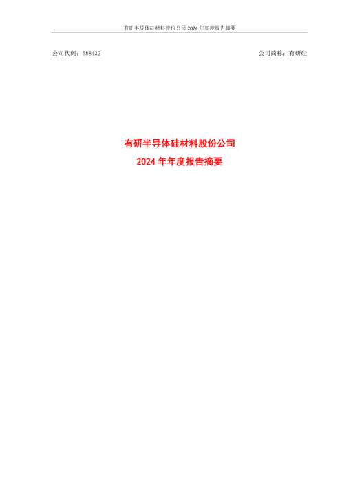 有研硅：有研硅2024年年度报告摘要.PDF
