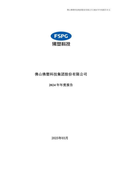 佛塑科技：2024年年度报告.PDF
