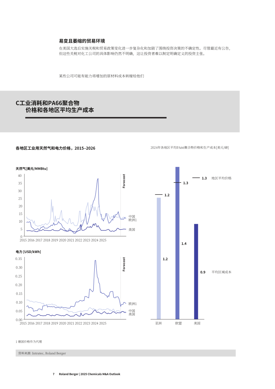 罗兰贝格：2025年全球化工行业并购市场研究报告：历史趋势及2025年展望（英文版）（12页）.pdf_第7页