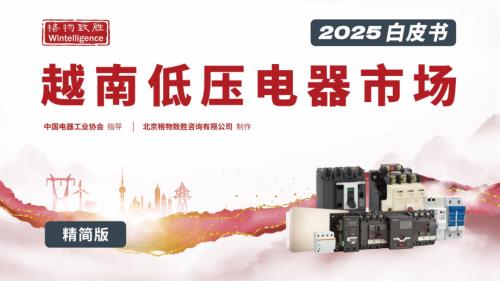 格物致胜：2025年越南低压电器市场白皮书-精简版（28页）.pdf