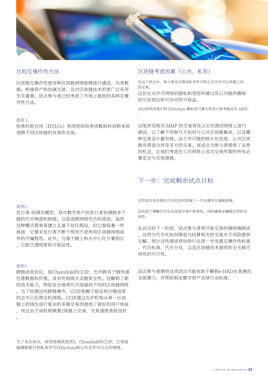 Visa：2025变革全球支付：代币化货币与基金在跨境交易中的作用研究报告（英文版）（15页）.pdf_第12页