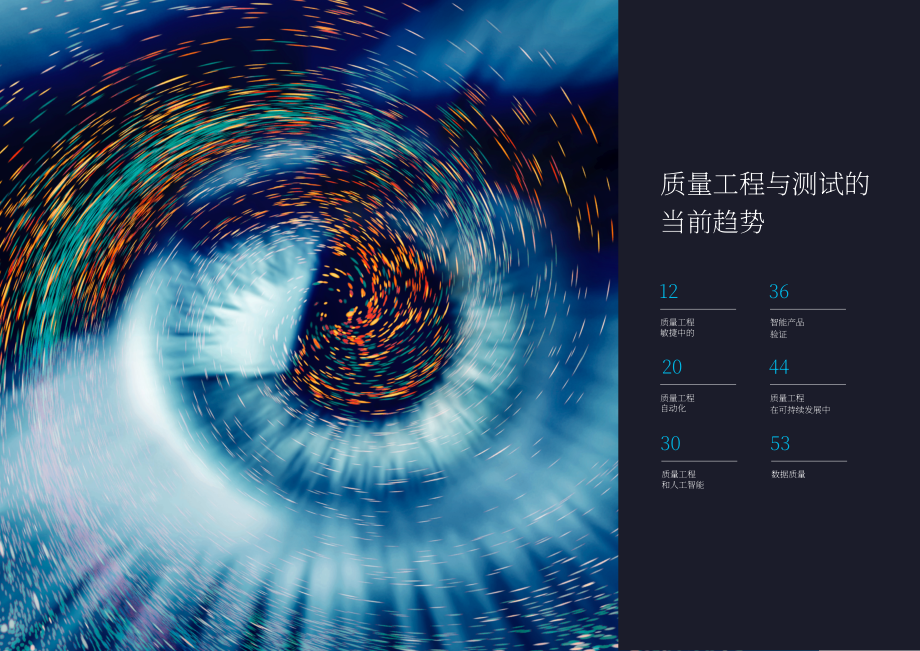 凯捷（Capgemini）：2024-25年世界质量报告（英文版）（54页）.pdf_第6页