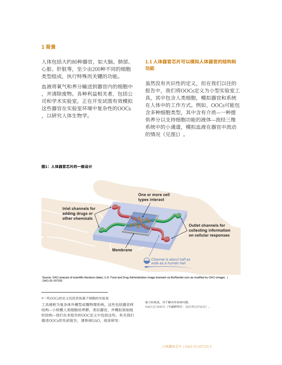 GAO：2025人体器官芯片技术评估报告：优于动物测试但规模化遇阻存挑战（英文版）（48页）.pdf_第12页