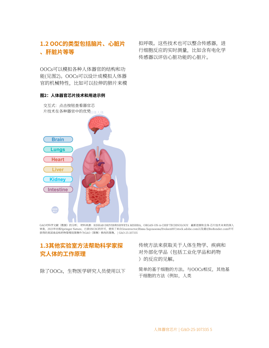 GAO：2025人体器官芯片技术评估报告：优于动物测试但规模化遇阻存挑战（英文版）（48页）.pdf_第13页