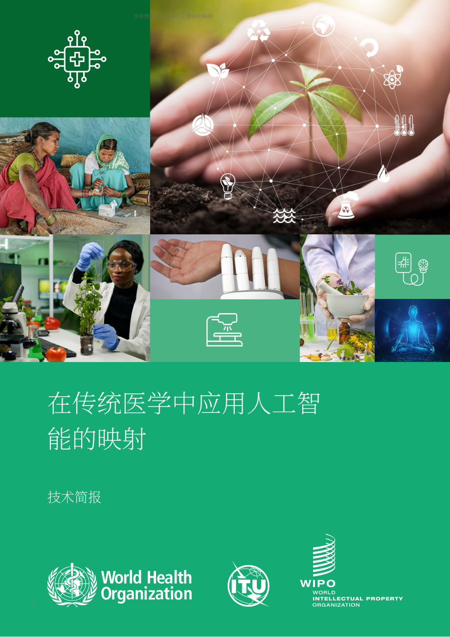 世界卫生组织&ampampITU&ampampWIPO：2025人工智能在传统医学中的应用：技术报告（英文版）（52页）.pdf_第1页