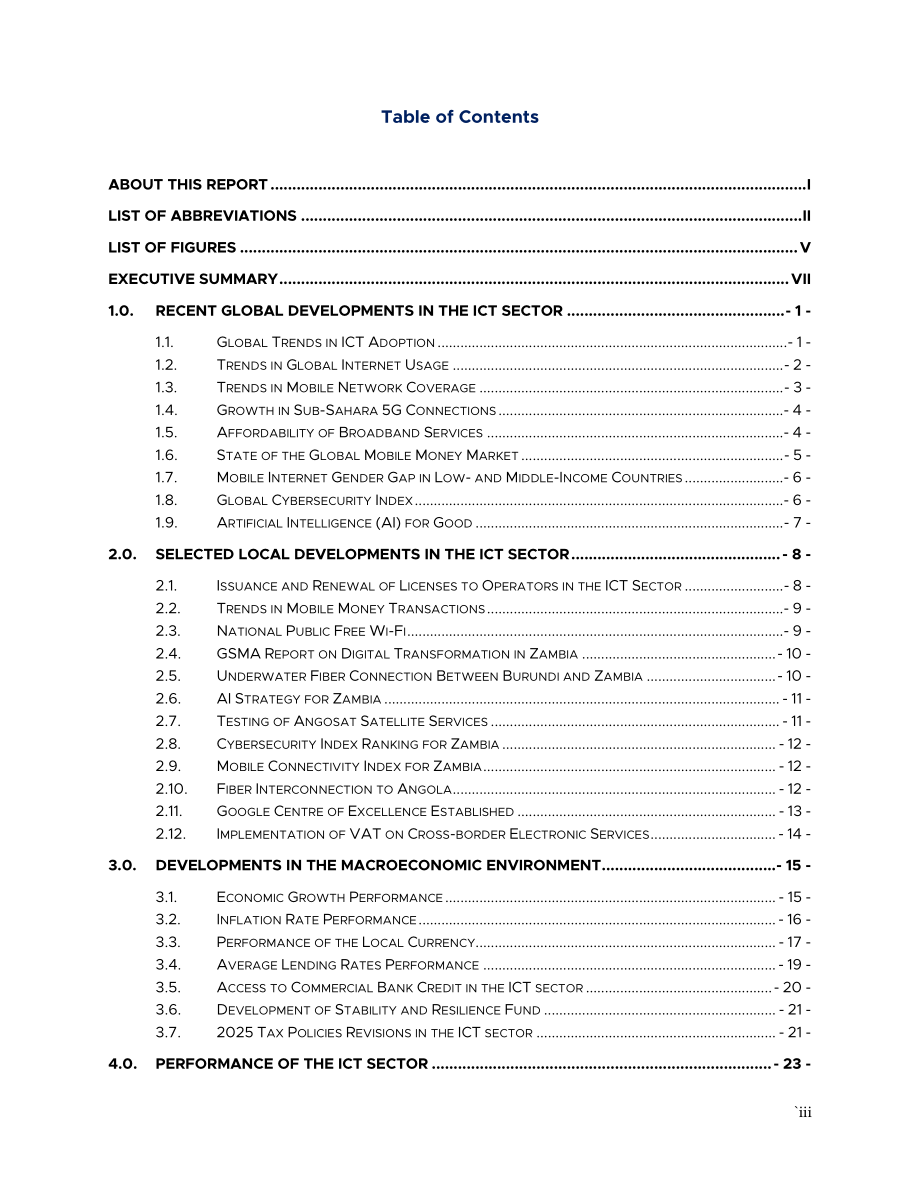 ZICTA：2024年赞比亚信息通信技术（ICT）行业年度市场报告（英文版）（73页）.pdf_第5页
