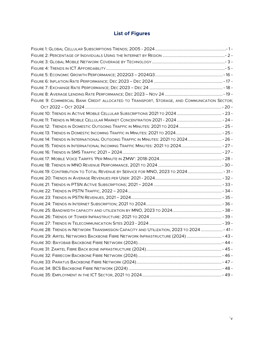ZICTA：2024年赞比亚信息通信技术（ICT）行业年度市场报告（英文版）（73页）.pdf_第7页