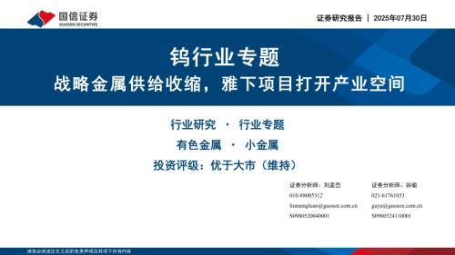 钨行业专题：战略金属供给收缩雅下项目打开产业空间-250730（38页）.pdf