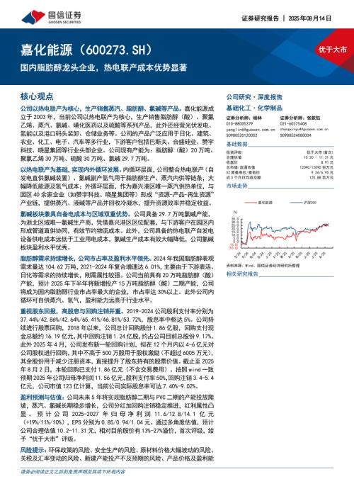 嘉化能源（600273）-A股公司研究报告：国内脂肪醇龙头企业热电联产成本优势显著-250814（44页）.pdf