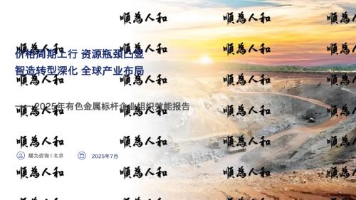 顺为咨询：有色金属行业效能报告（47页）.pdf