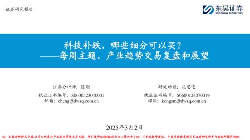 【东吴证券】每周主题、产业趋势交易复盘和展望：科技补跌，哪些细分可以买？-250302（19页）.pdf