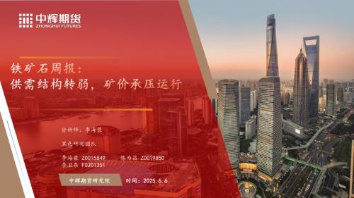 【中辉期货】铁矿石周报：供需结构转弱，矿价承压运行-250606（32页）.pdf