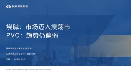 【国泰期货】烧碱：市场迈入震荡市 PVC：趋势仍偏弱-250209（40页）.pdf