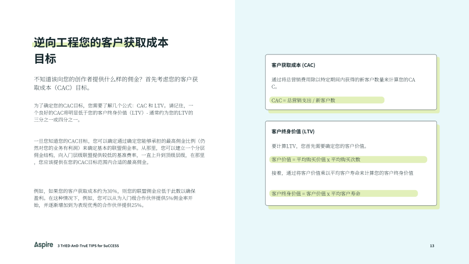 Aspire：2025流量变现：联盟营销计划的游戏化赋能与销售增长策略研究报告（英文版）（17页）.pdf_第13页