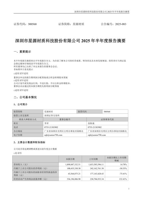 星源材质：2025年半年度报告摘要.PDF