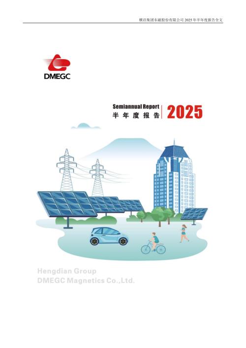 横店东磁：2025年半年度报告.PDF