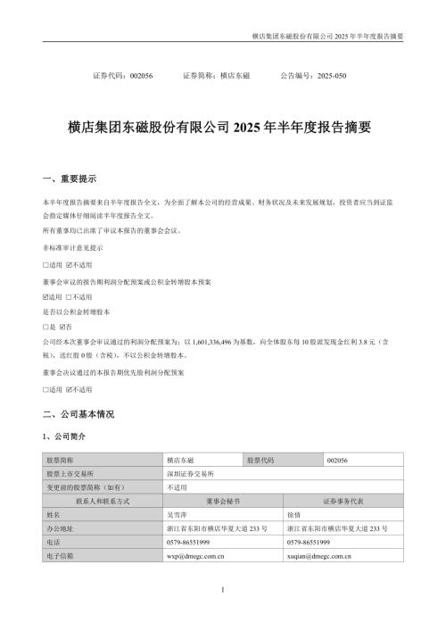 横店东磁：2025年半年度报告摘要.PDF