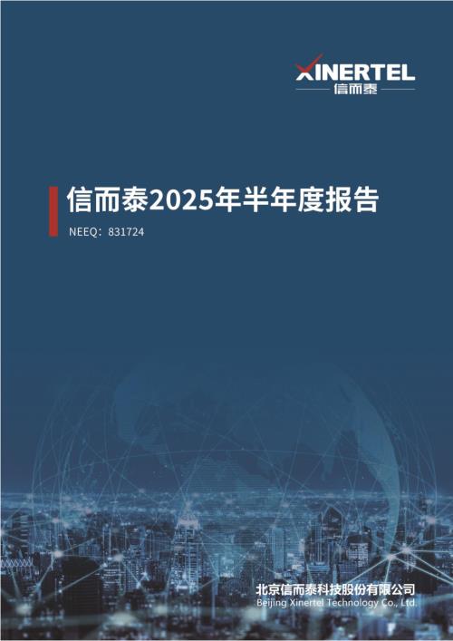 定期报告-信而泰：2025年半年度报告.PDF