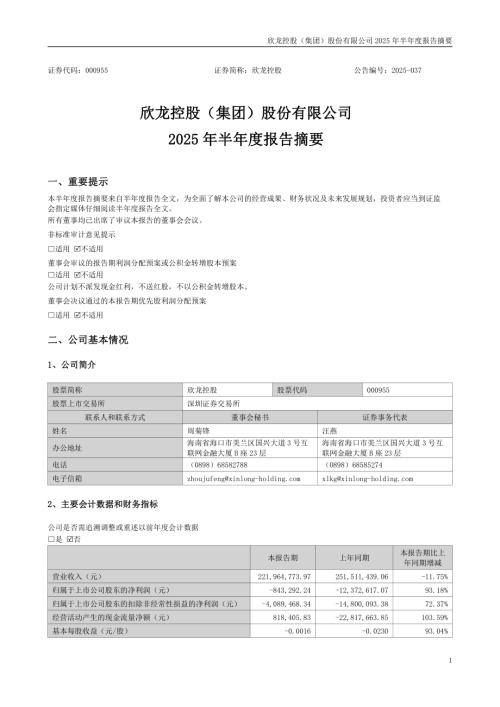 欣龙控股：2025年半年度报告摘要.PDF