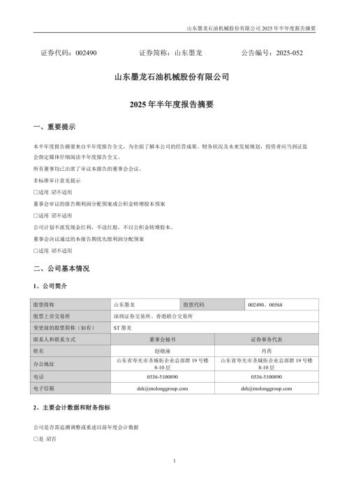 山东墨龙：2025年半年度报告摘要.PDF