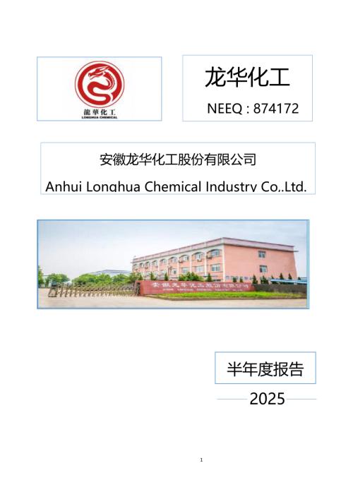 定期报告-龙华化工：2025年半年度报告.PDF